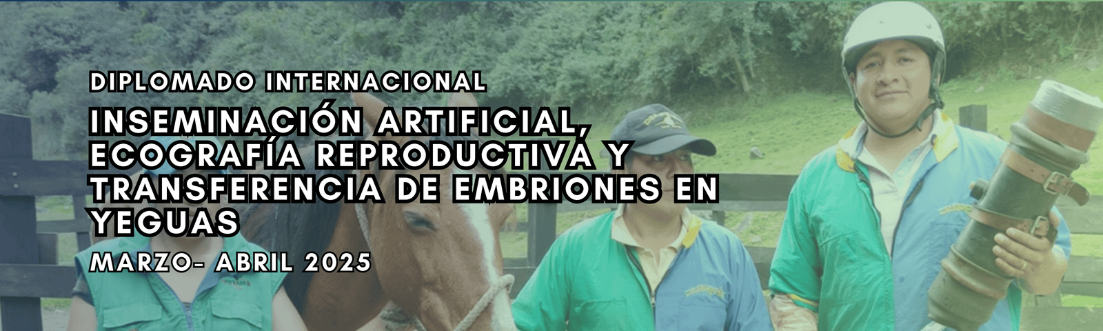 Diplomado Internacional Inseminación Artificial, Ecografía Reproductiva y Transferencia de Embriones en Yeguas Marzo-Abril 2025